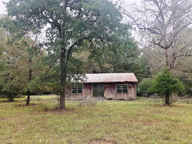 Wooded Acreage Centerville, TX Farm for Sale in Centerville, Leon