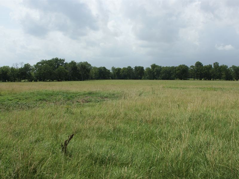 36 Acres Land in Vinita, Oklahoma, Farm for Sale in Oklahoma, 205787