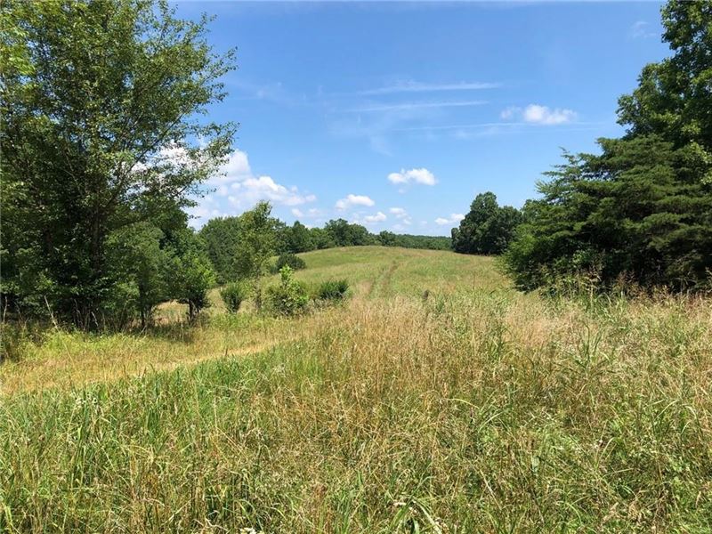 50 Acres For Sale In Pickens Co, Ga Farm for Sale in Fairmount