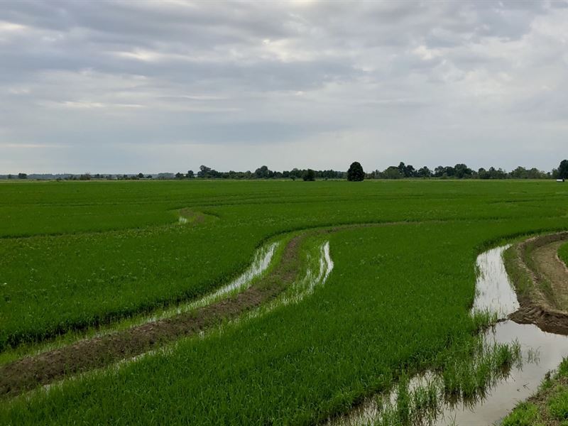 160 Acres in Cash, Arkansas, Farm for Sale in Arkansas, 205892 FARMFLIP