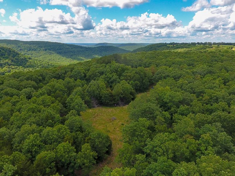 Kingston AR Hunting Land for Sale, Farm for Sale in Arkansas, 205944