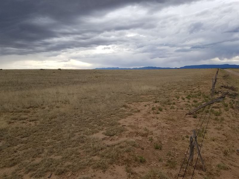Central NM Ranch Land Acreage Farm for Sale in Estancia, Torrance