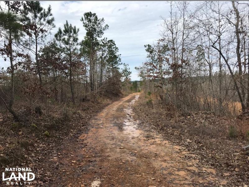 Brown Road Hunting Tract : Vernon : Lamar County : Alabama
