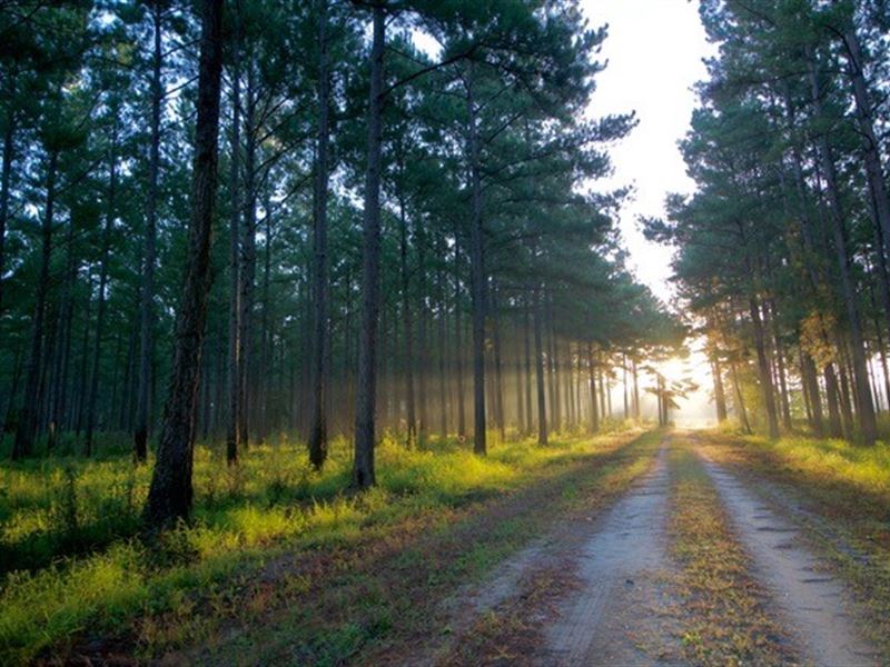 Glover Plantation, Farm for Sale in South Carolina, 206203 FARMFLIP