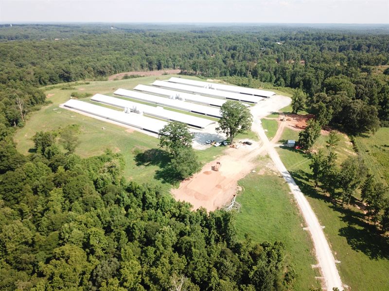 Ridgeback Farm Poultry, Farm for Sale in 206262 FARMFLIP