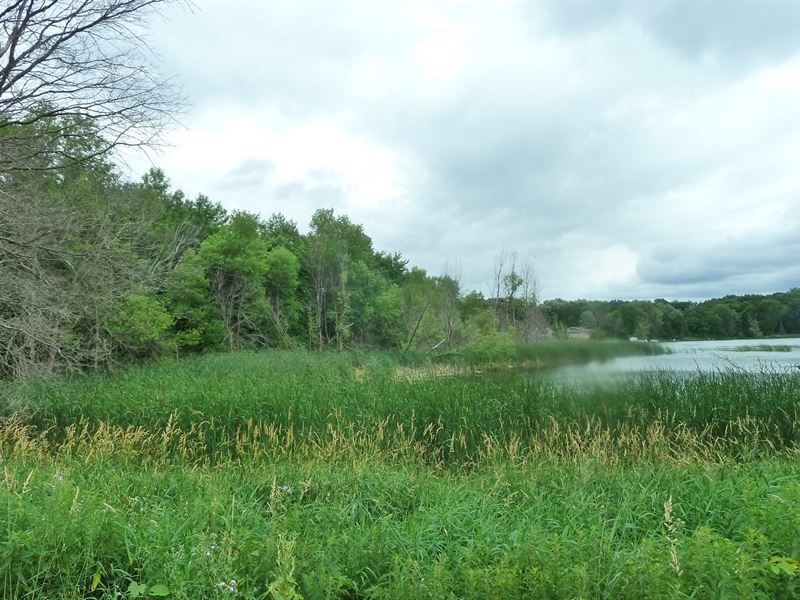 34+ Acres Land Indian Lake Maple Farm Auction in Maple Lake, Wright County, Minnesota