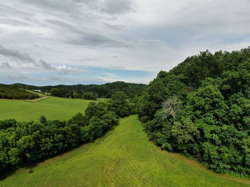 East Tennessee Unrestricted Land Farm for Sale in Midway, Greene