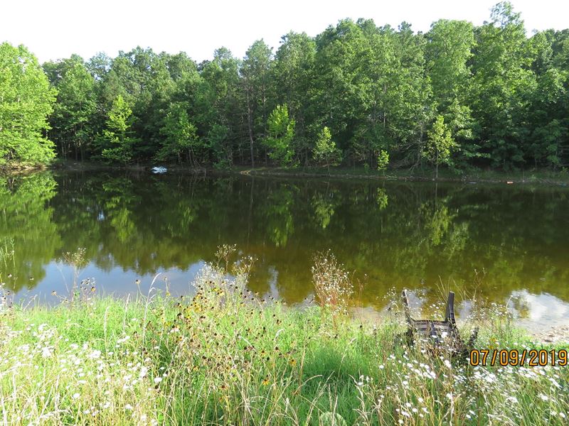 Large Acreage For Sale in Ava MO Farm for Sale in Ava, Douglas County