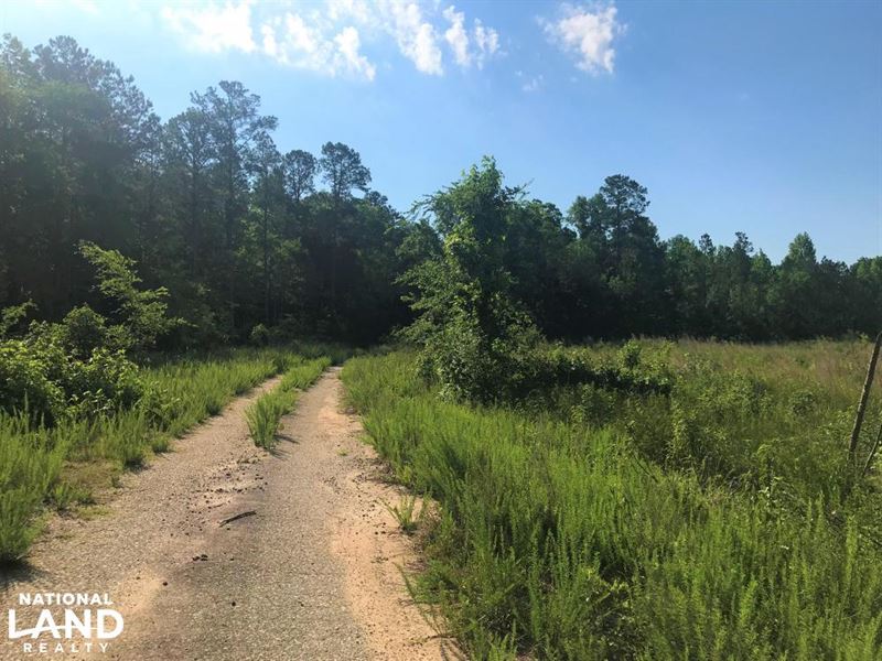 Edgefield Hunting Land : Edgefield : Edgefield County : South Carolina