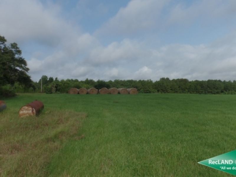 40 Ac, Small Ranch Near Rosepine Farm for Sale in Rosepine, Vernon
