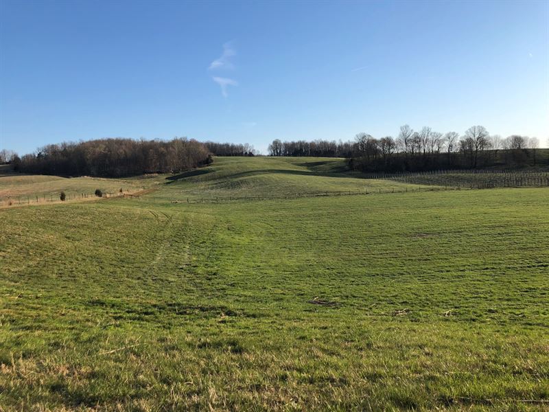 Farm, South Central Ky, Barn, Farm for Sale in Kentucky, 206626 FARMFLIP