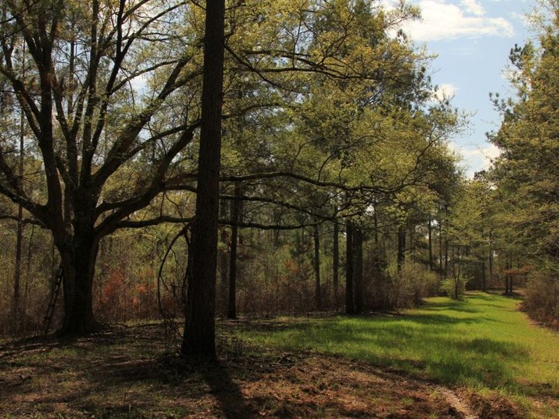 The 5-J Ranch : Hazen : Prairie County : Arkansas