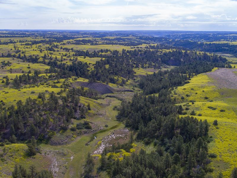 Mt Grazing & Hunting Property, Farm Auction in Montana, 206720 FARMFLIP
