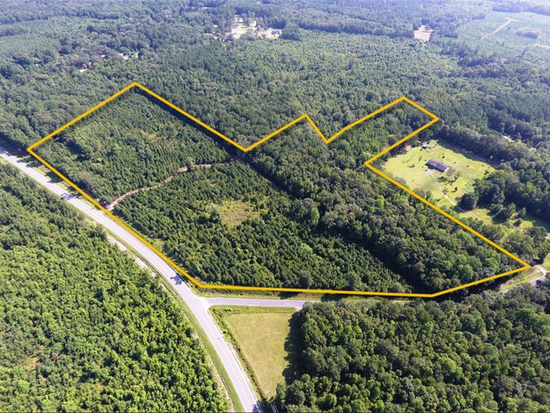 Ritter Tract, Farm for Sale in South Carolina, 206730 FARMFLIP