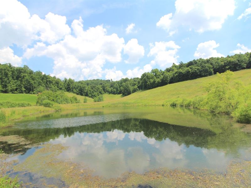 Sr 258, 73 Acres : Newcomerstown : Tuscarawas County : Ohio
