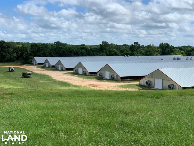 Chicken/Cattle Farm Jasper County Farm for Sale in Paulding, Jasper