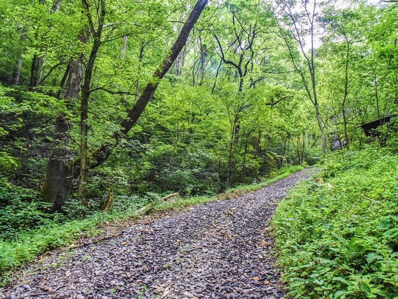 French Broad River Retreat, Farm for Sale in North Carolina, 207054