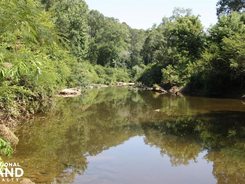 Hanceville Eightmile Creek Hunting Farm for Sale in Hanceville