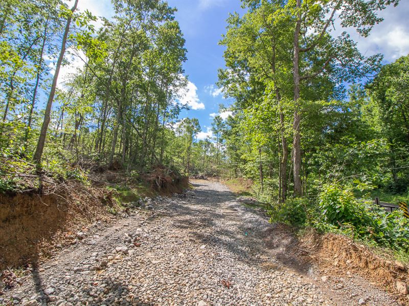 Careys Run Rd, 108 Acres, Farm for Sale in Ohio, 207161 FARMFLIP