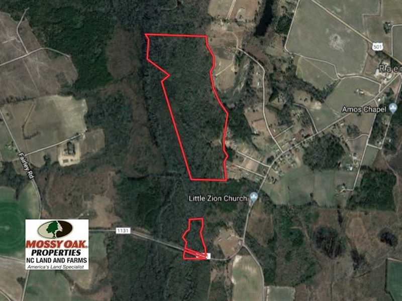 Under Contract, 115 Acres of Hun : Maxton : Robeson County : North Carolina