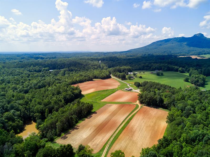 Farm for Sale in Pinnacle NC, Farm for Sale in North Carolina, 207266