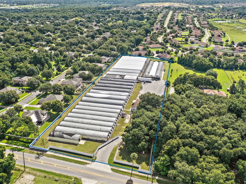 Greenhouses Apopka Florida at Bruce Gambrell blog