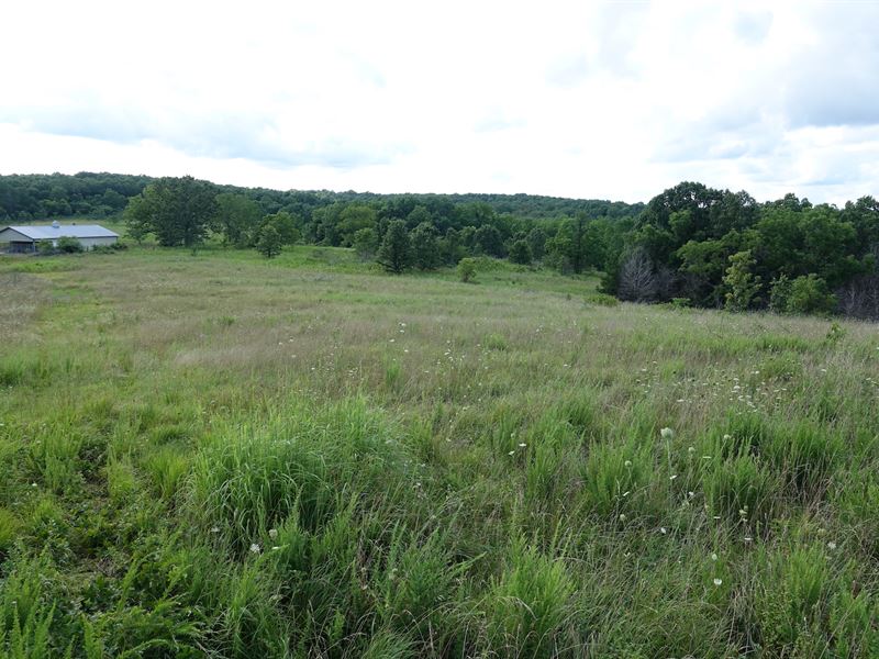 Missouri Farm for Sale, Live Water, Farm for Sale in Missouri, 207459