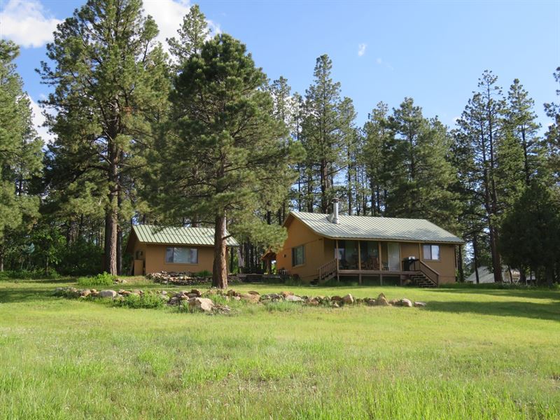 Chama NM Hunting Ranch Cabin, Farm for Sale in New Mexico, 207501