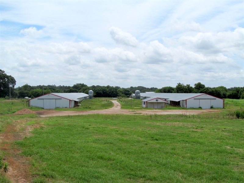 poultry farm for sale near me poultry farm for sale near me