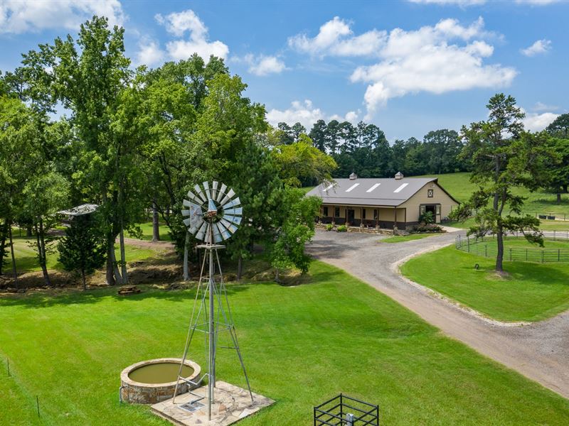 East Texas Investment Land Equine : Whitehouse : Smith County : Texas