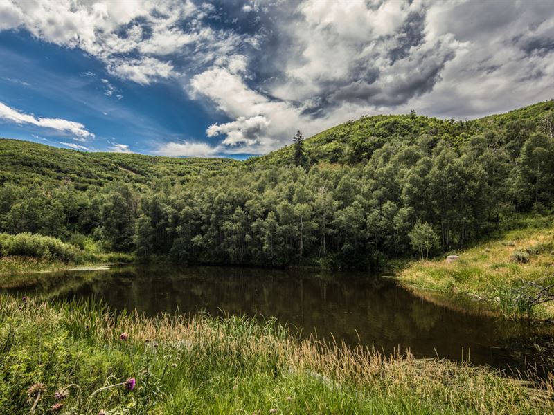 Divide Creek Ranch : Silt : Mesa County : Colorado