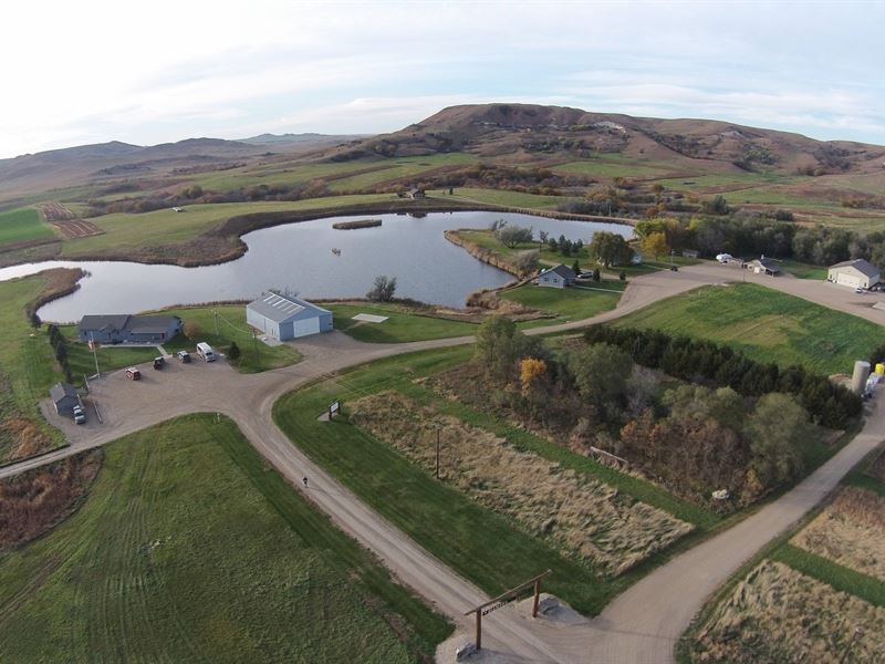 Diamond A Pheasant Ranch : Gregory : Tripp County : South Dakota