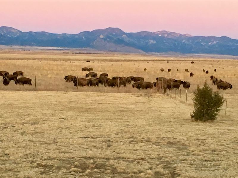 Bison View Ranch : Cimarron : Colfax County : New Mexico