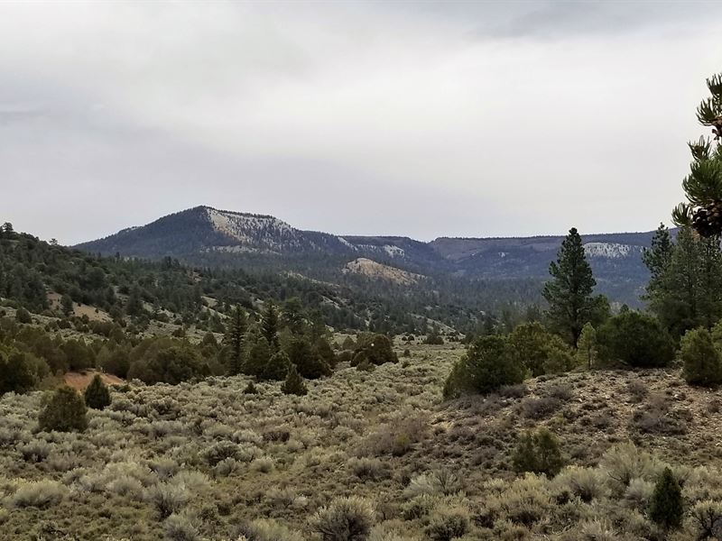 Pine Lake Ranch, Farm for Sale in Utah, 207847 FARMFLIP