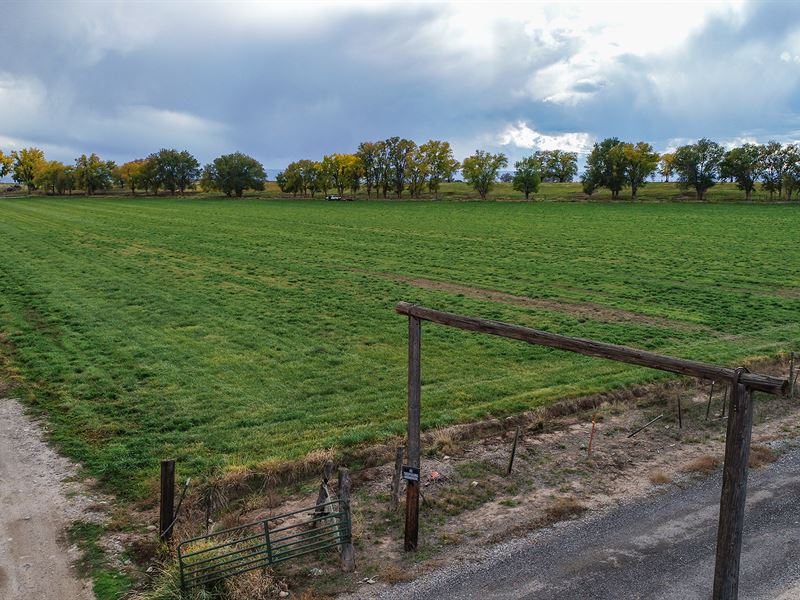 Todd Irrigated Acres, Farm for Sale in Colorado, 207974 FARMFLIP