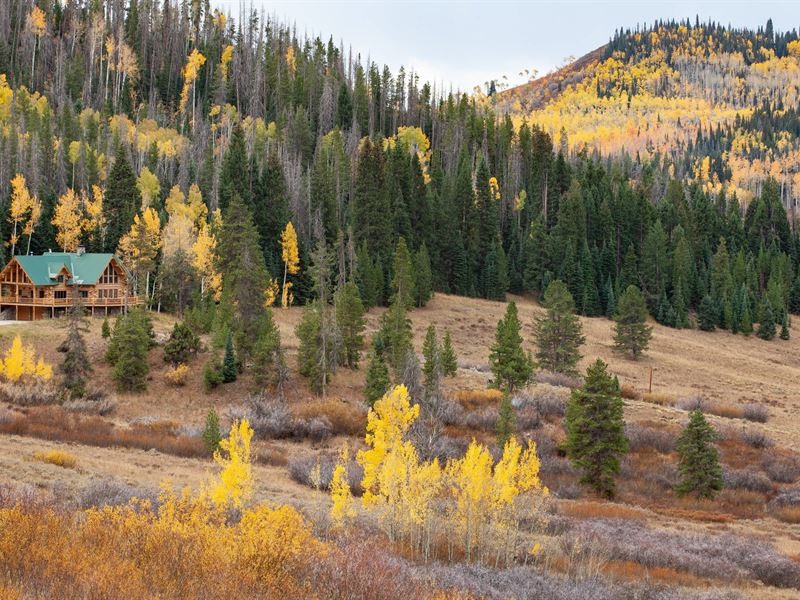 Hummingbird Ranch : Clark : Routt County : Colorado