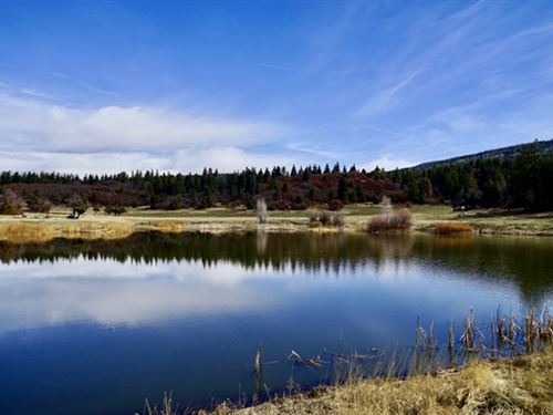 Mundy Ranch And Mountain Estate : Chama : Rio Arriba County : New Mexico