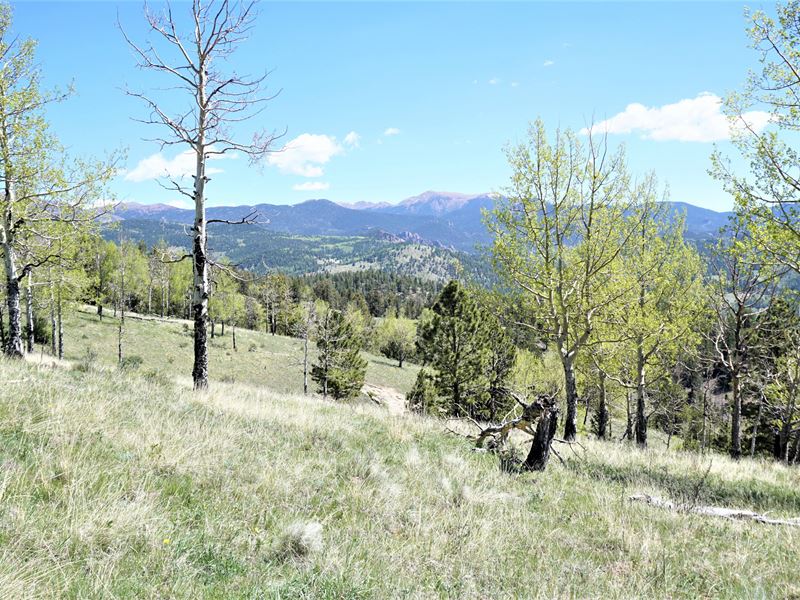 Big Views at Bradley Ranch, Farm for Sale in Colorado, 208324 FARMFLIP