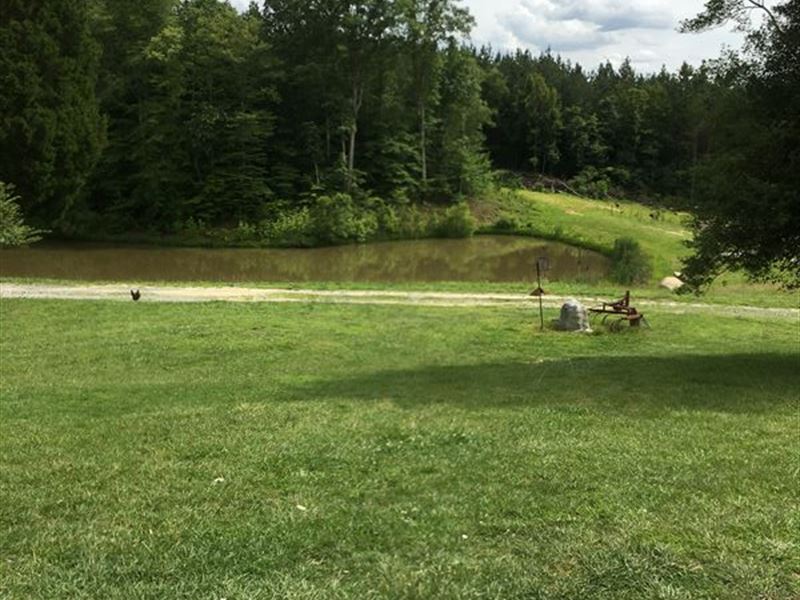Beautiful Land with Pond and Views : Walnut Cove : Forsyth County : North Carolina