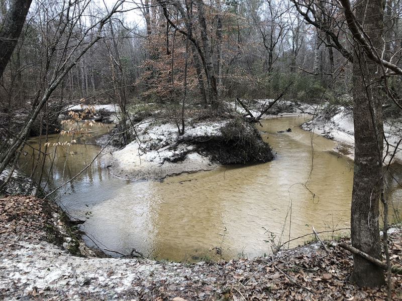 Hurtsboro Al Hunting Land for Sale, Farm for Sale in Alabama, 208597