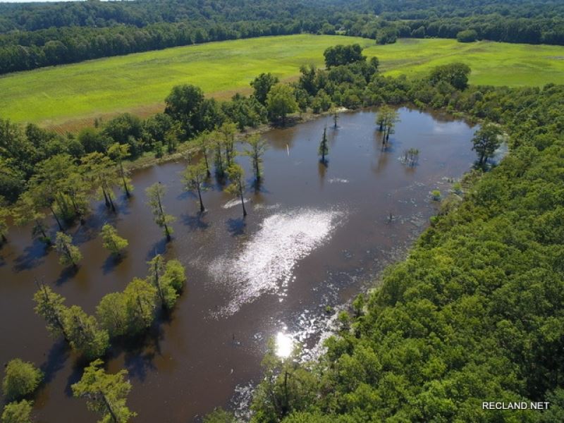 167 Ac, Farm, Lake, River Frontage : Columbia : Caldwell Parish : Louisiana