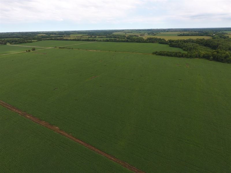 235 Acres, Top Quality Bottom Farm Farm for Sale in Cainsville, Harrison County, Missouri