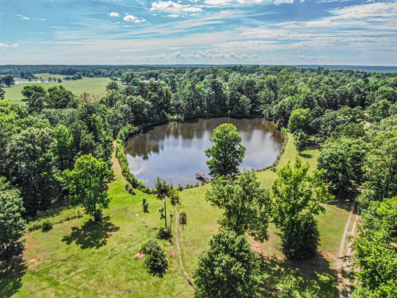 144 Acres with 3 Acre Pond : Haddock : Jones County : Georgia