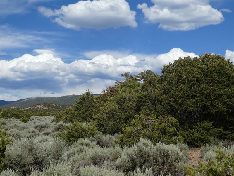 Great 5 Acre Lot Electricity Nearby : Fort Garland : Costilla County : Colorado