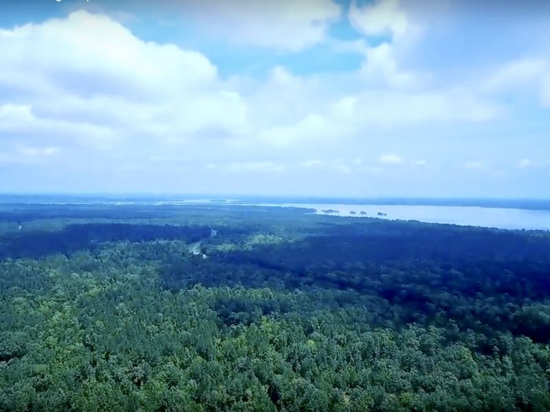 Hunter's Haven On Lake Livingston Farm for Sale in Point Blank, San