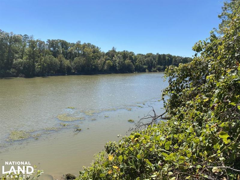 The Boligee Tombigbee River Timber, Farm for Sale in Alabama, 209059