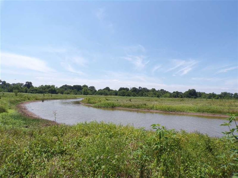 Duck Hunter's Paradise Waterfowl : Idabel : McCurtain County : Oklahoma