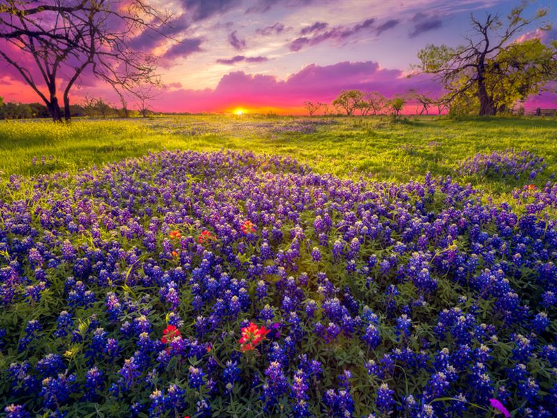 Hill Country Ranches : Burnet : Burnet County : Texas
