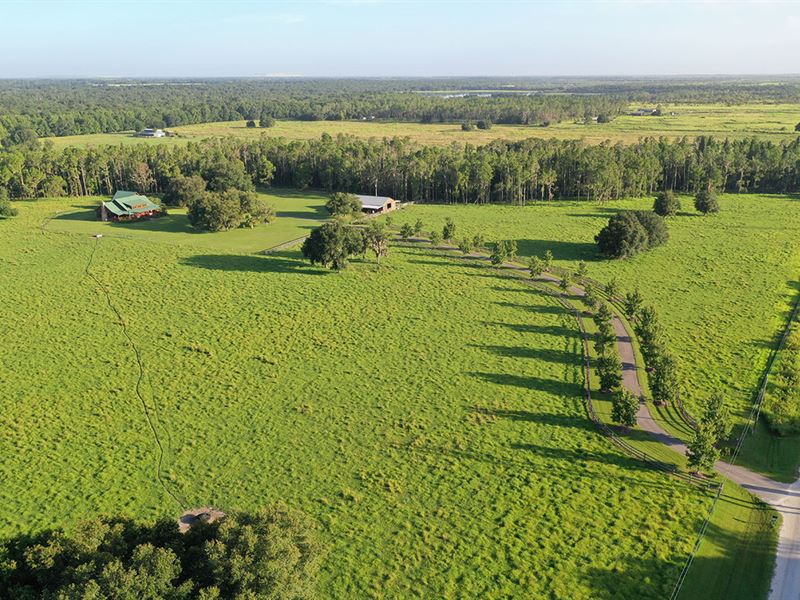 Peace River Estate, Farm for Sale in Florida, 209215 FARMFLIP