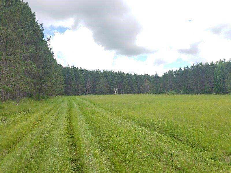 Hunting Land Sebeka/Nimrod, Farm for Sale in Minnesota, 209296 FARMFLIP